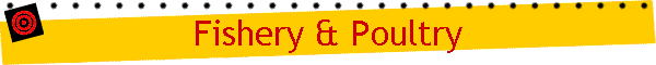 Fishery & Poultry